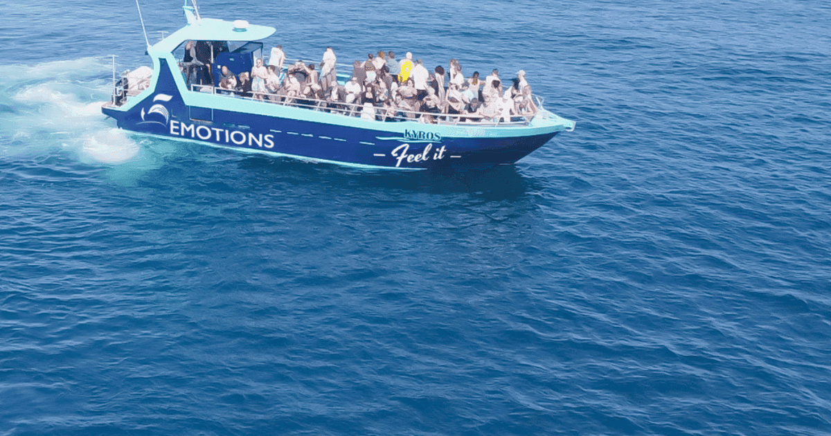 Portimão: 2.5 hours — Dolphins Watching — Biologist on Board