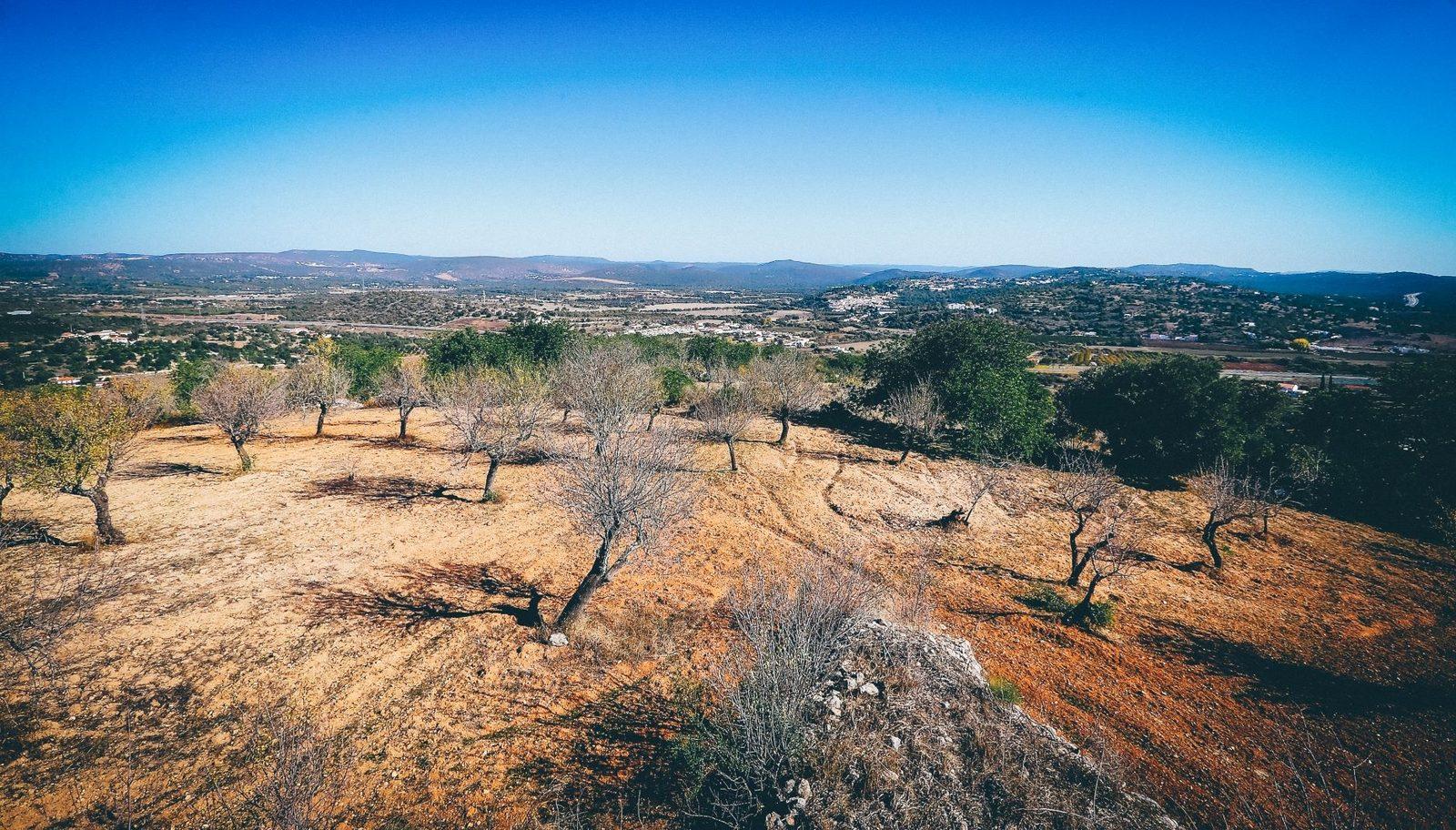 Cerro de São Vicente