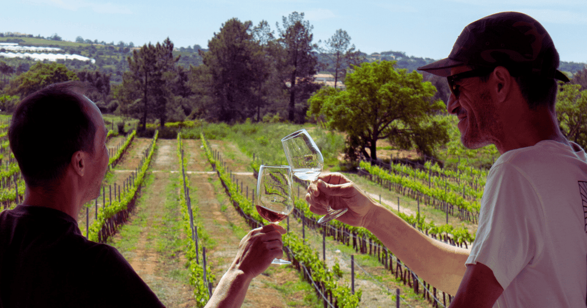 The Real Algarve: 2 Boutique Wineries & Silves Tour