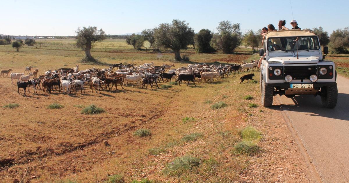 Albufeira: Jeep Safari Half-Day Countryside Tour
