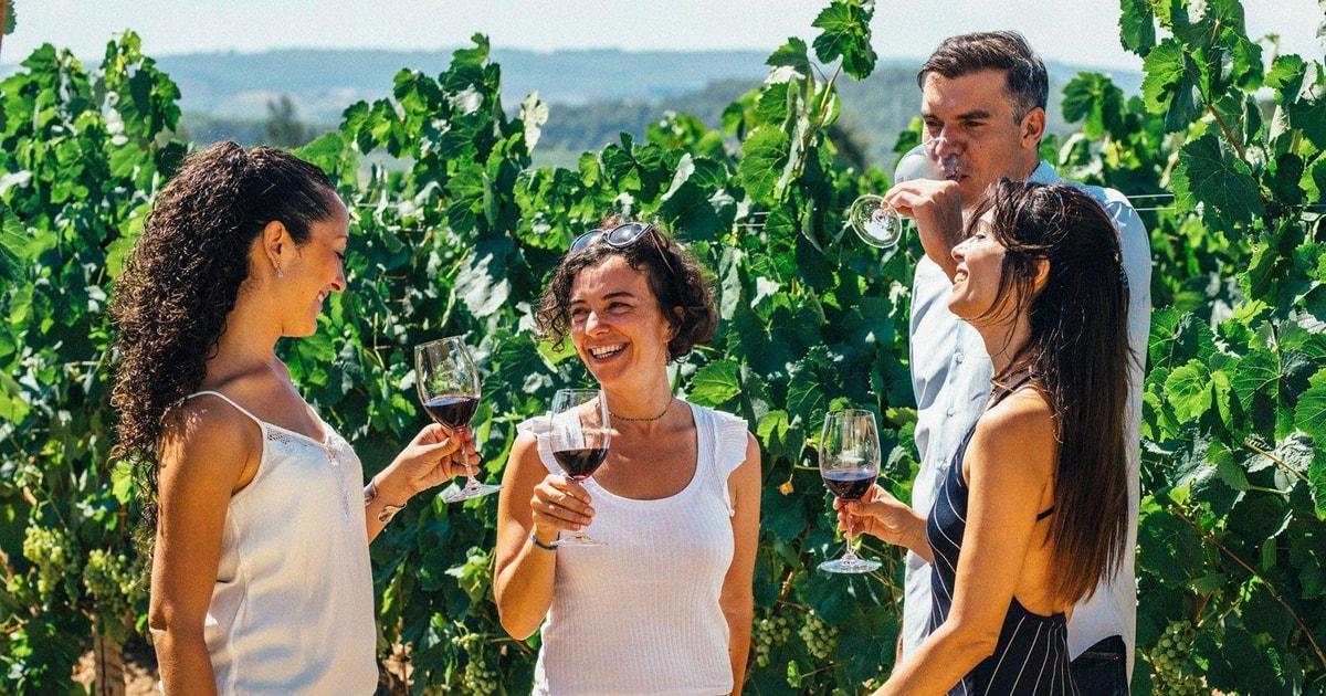 Albufeira: Wine Tasting Tour - 4H