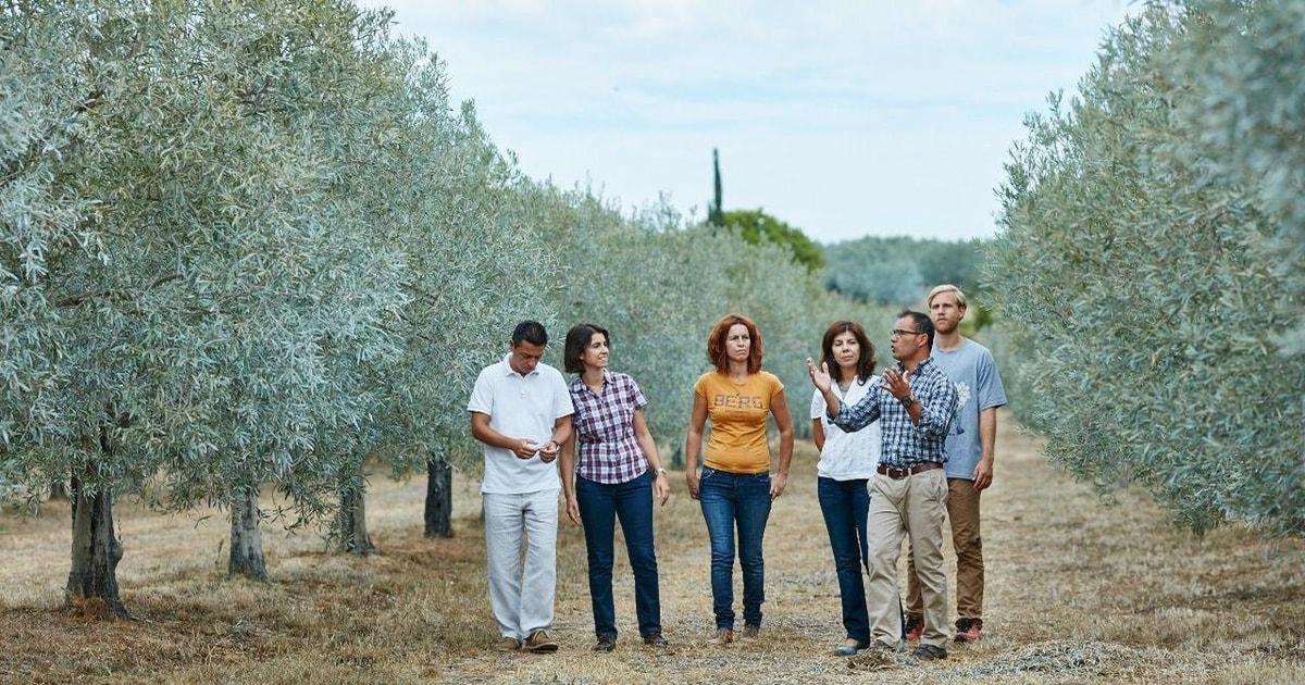 Moncarapacho: Olive Oil Tour with Tasting